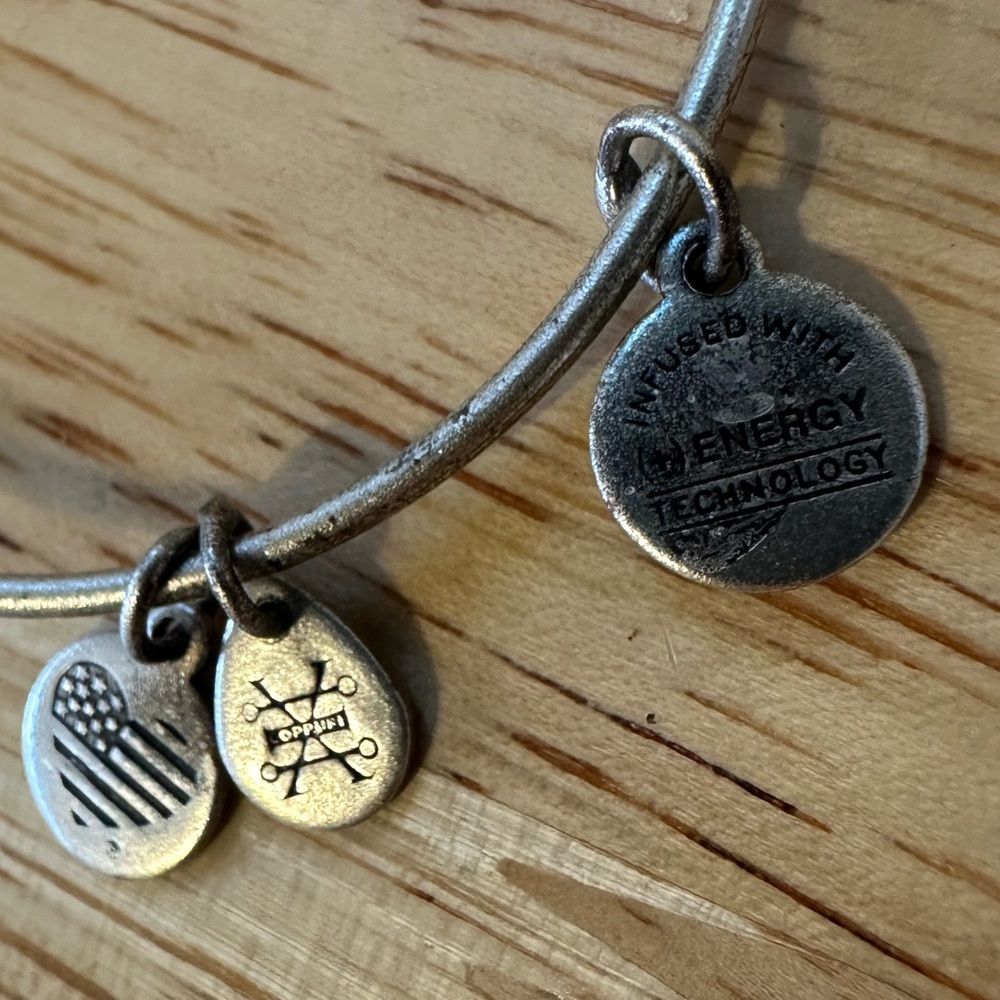 Alex and Ani Calavera Adjustable Bangle Bracelet - Picture 4 of 4